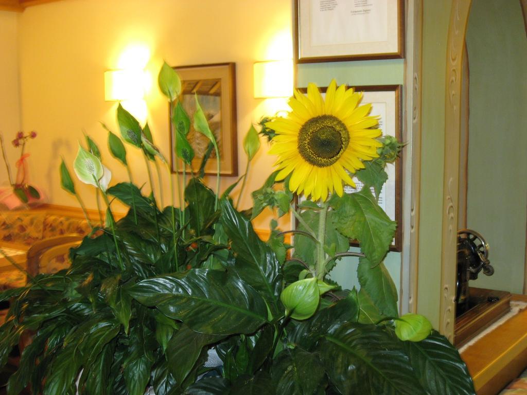 פולגריה Albergo Villa Cristina מראה חיצוני תמונה